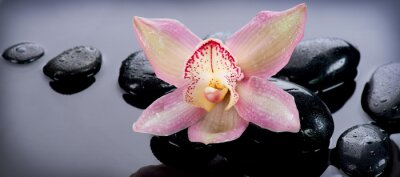 Sticker Zen stenen en orchidee Bloem. Stone Massage