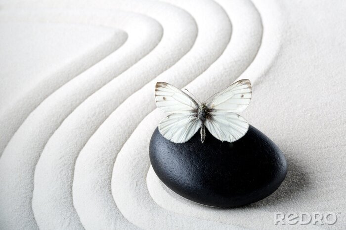Sticker Zen stenen met vlinder