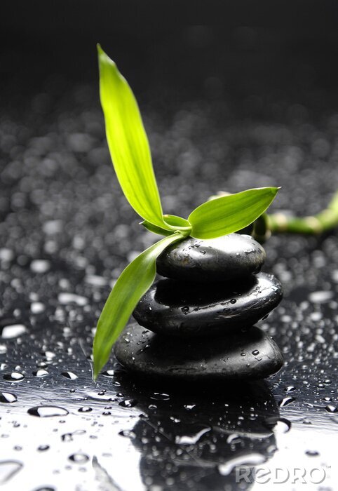 Sticker Zen stenen tussen waterdruppels