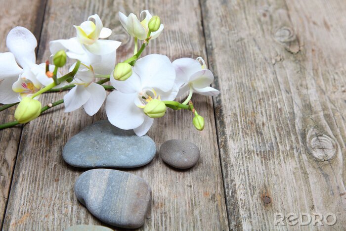 Sticker Zen stones and orchid