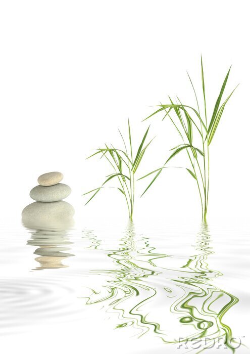 Sticker Zenstenen en bamboegras op het wateroppervlak