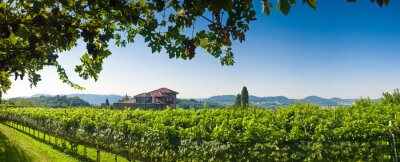 Sticker Zicht op de villa midden in de wijngaard