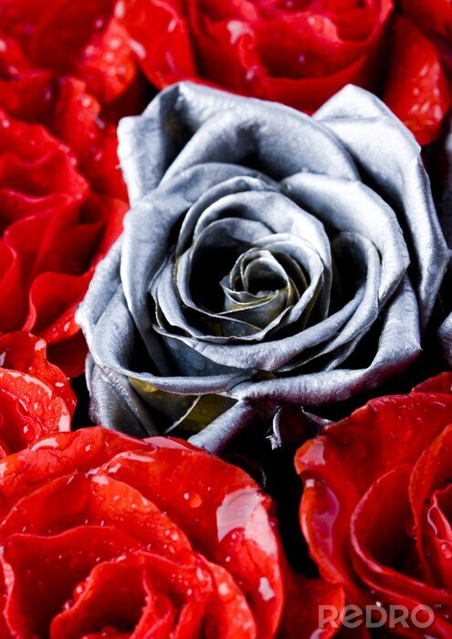 Sticker Zilveren roos