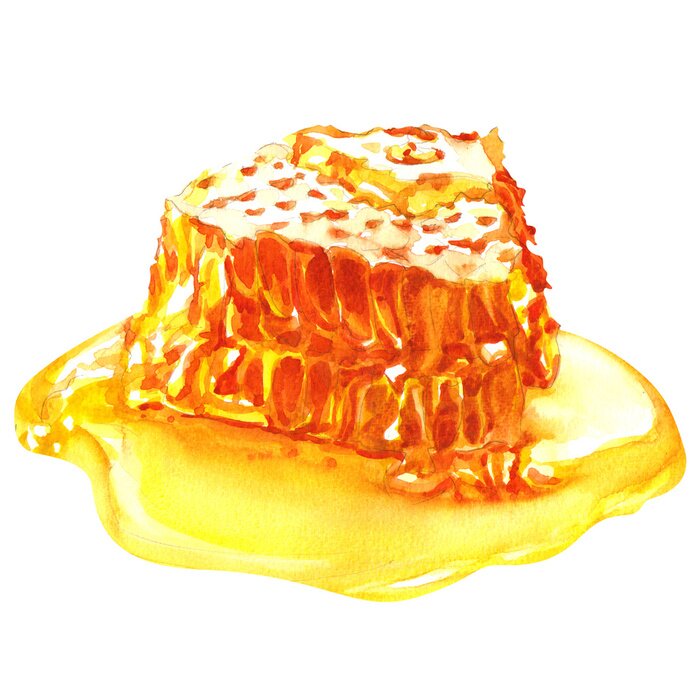 Sticker zoete honingraten met honing, geïsoleerd op wit