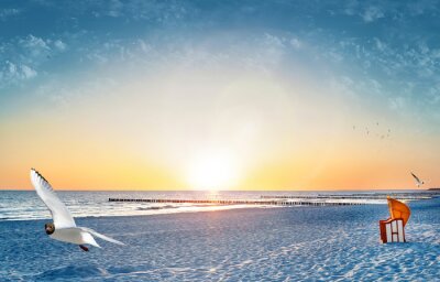 Zonnig strand en een meeuw