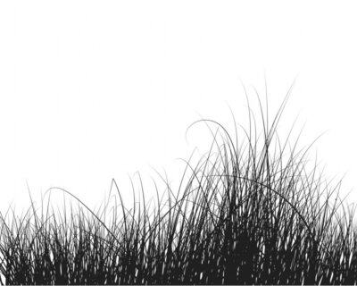 Zwart-wit gras