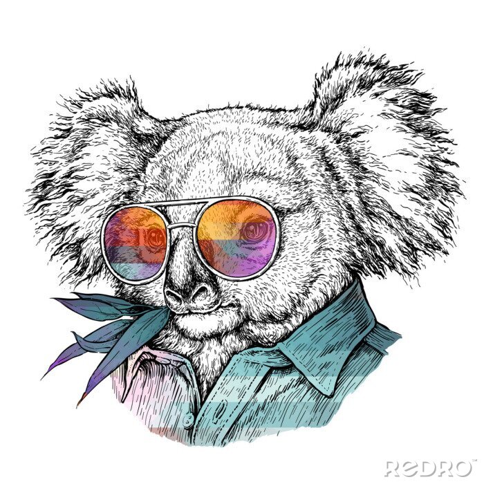 Sticker Zwart-wit koala in regenboogbril