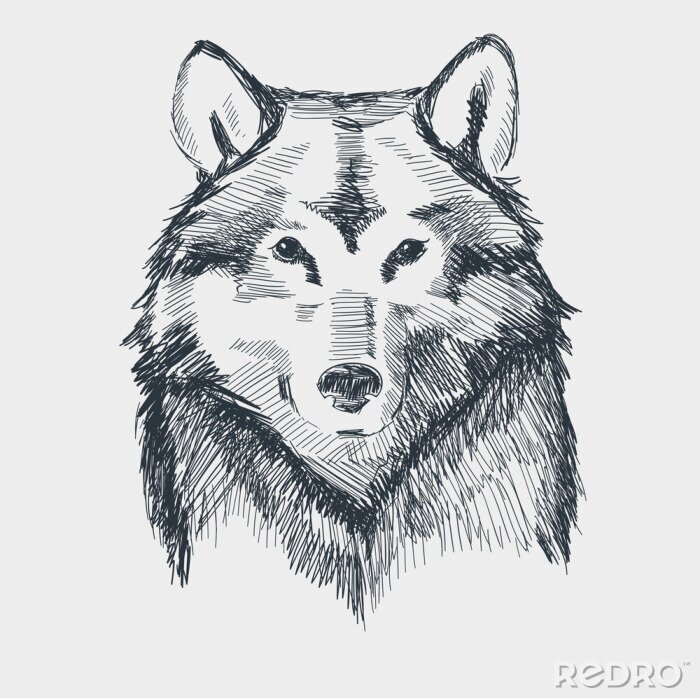 Sticker Zwart-wit schets van een wolf