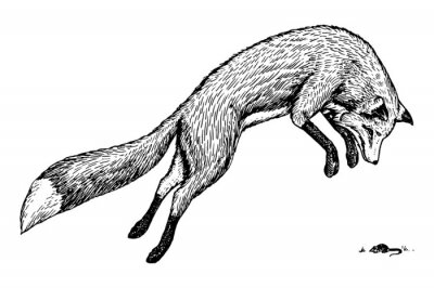 Sticker Zwart-wit tekening met een jagende vos