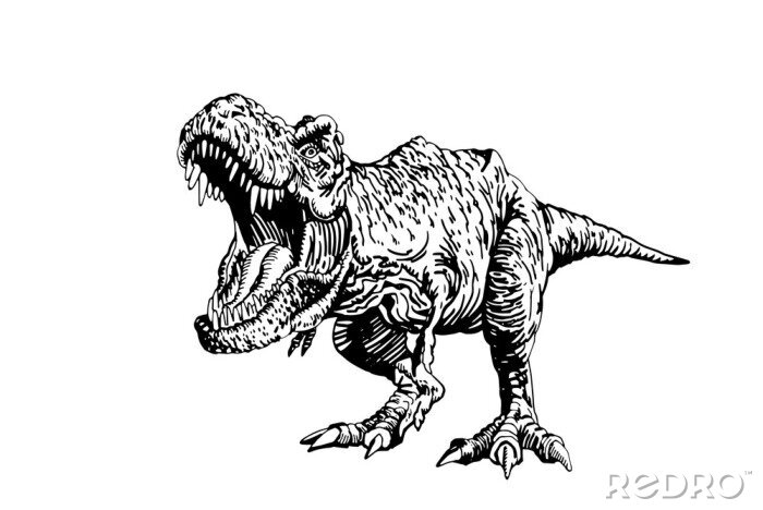 Sticker Zwart-wit tekening van een brullende dinosaurus