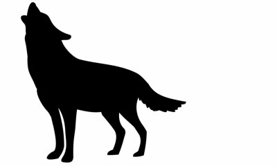 Sticker Zwart-wit tekening van een huilende wolf