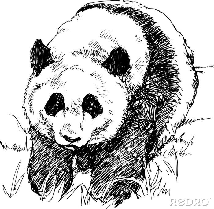 Sticker Zwart-wit tekening van een panda