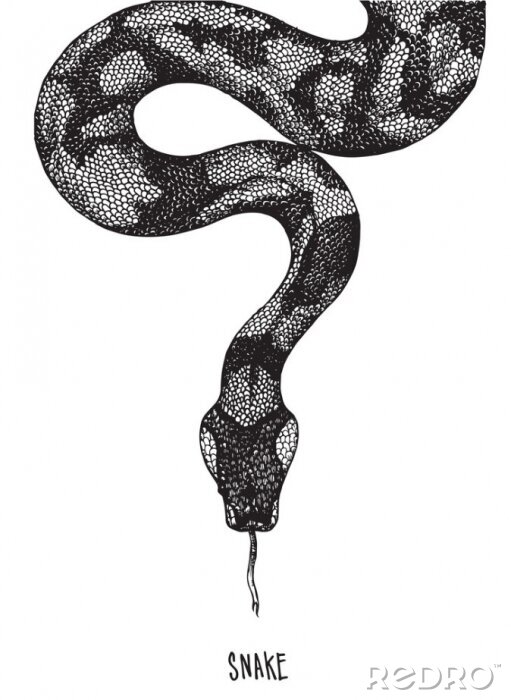 Sticker Zwart-wit tekening van een slang met zijn tong uitsteekt