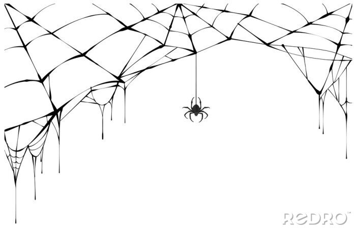 Sticker Zwart-wit tekening van een spin op een spinnenweb