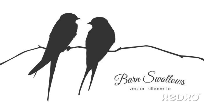Sticker Zwart-wit tekening van twee vogels op een dun takje