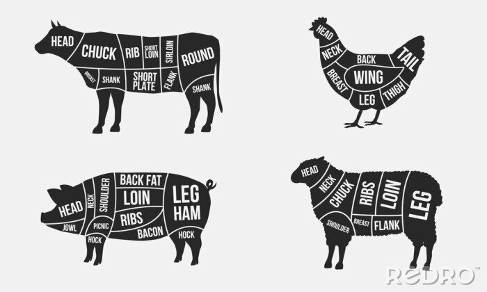 Sticker Zwart-wit tekening van vlees van verschillende dieren