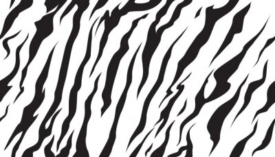 Sticker Zwart-wit tekening van zebrastrepen