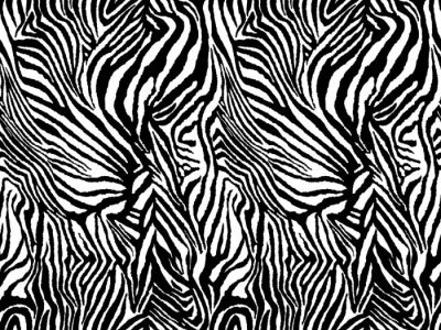 Sticker Zwart-wit zebra motief