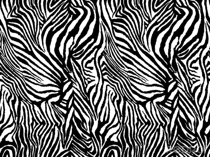 Sticker Zwart-wit zebra motief
