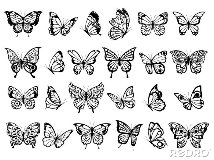 Sticker Zwart-witafbeeldingen met vlinders van verschillende soorten