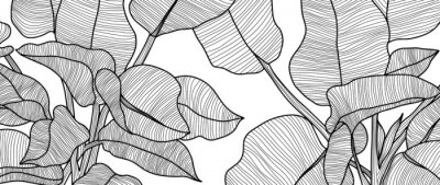 Sticker Zwart-witte bladeren van tropische planten