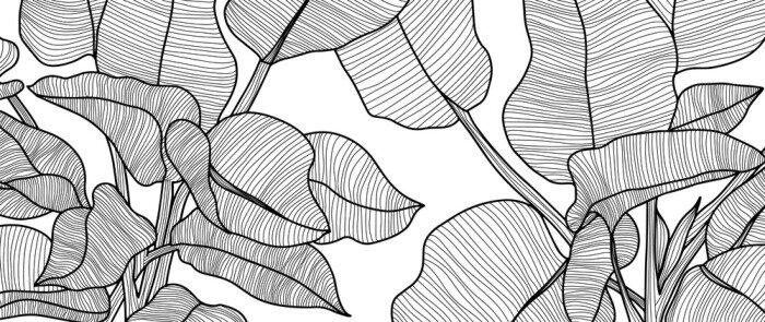 Sticker Zwart-witte bladeren van tropische planten