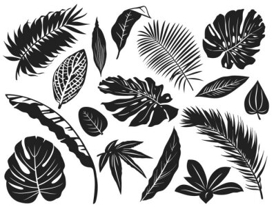 Sticker Zwart-witte bladeren van verschillende plantensoorten