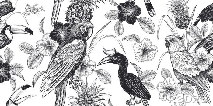 Sticker Zwart-witte bloemen en exotische vogels