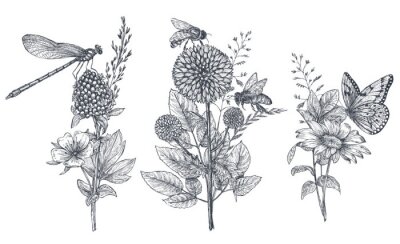 Sticker Zwart-witte bloemen en insecten