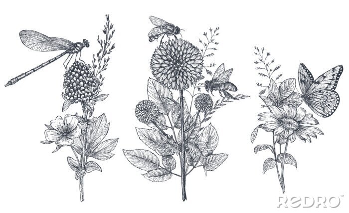 Sticker Zwart-witte bloemen en insecten