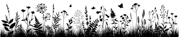 Sticker Zwart-witte bloemen en kruiden in de wei