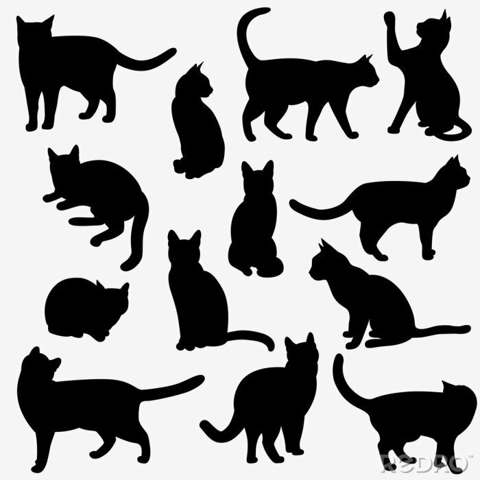 Sticker Zwart-witte katten in verschillende poses