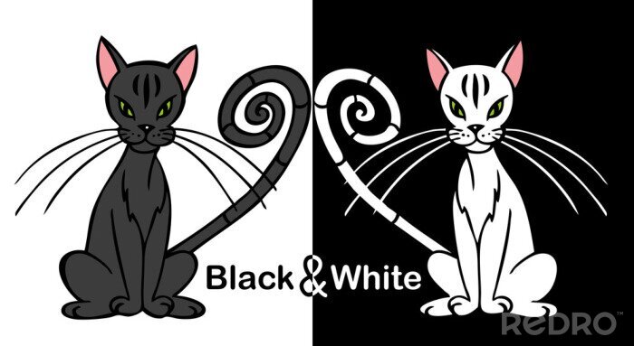 Sticker Zwart-witte katten met gekrulde staartpunten