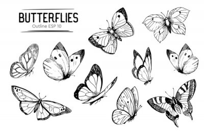 Sticker Zwart-witte vlinders van verschillende vormen