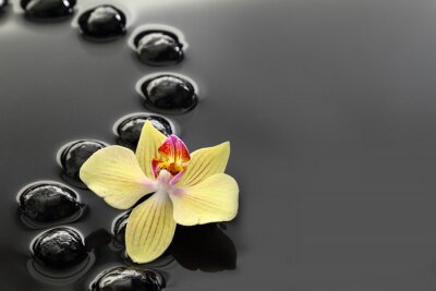 Zwart Zen stenen en orchidee op kalm water achtergrond