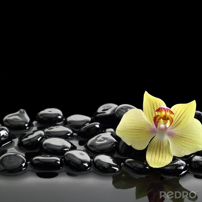 Sticker Zwart Zen stenen en orchidee op kalm water achtergrond
