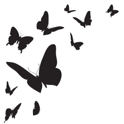 Sticker Zwarte contouren van vlinders op een witte achtergrond