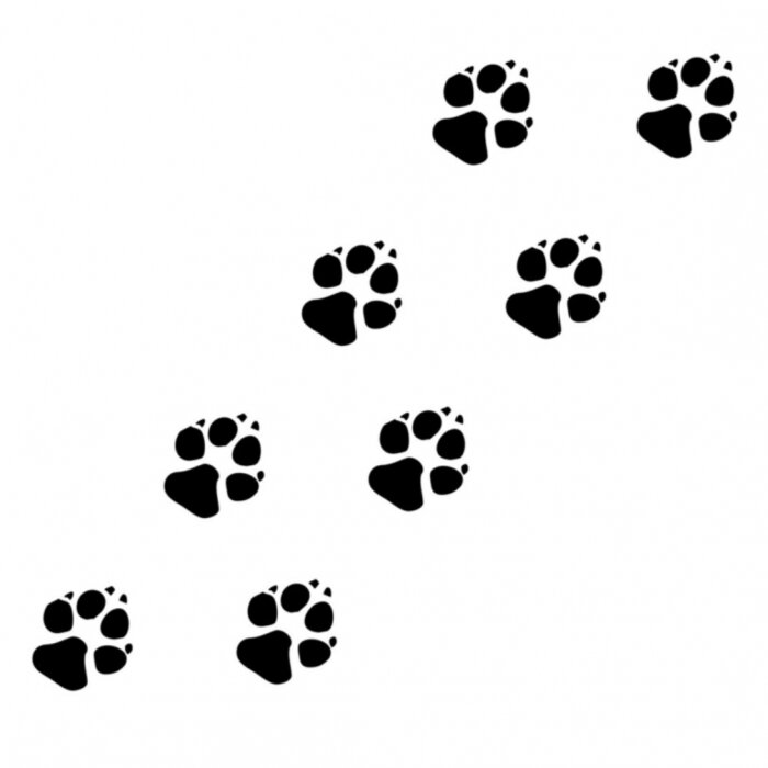 Sticker Zwarte dierenvoetafdrukken op een witte achtergrond
