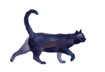 Sticker Zwarte Kat Wandelen Waterverf Handgetekende Dierlijke Portret Dierlijke Illustratie
