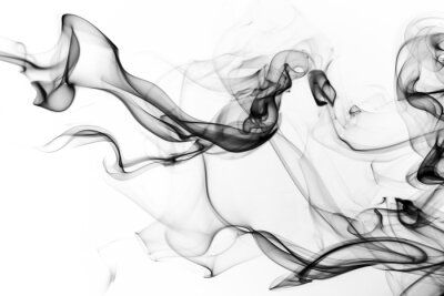 Sticker Zwarte rook op de witte achtergrond