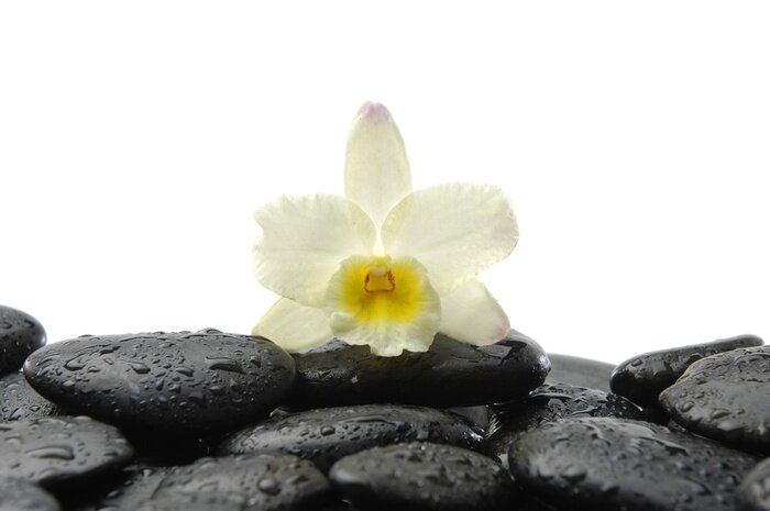 Sticker zwarte stenen en orchidee met reflectie